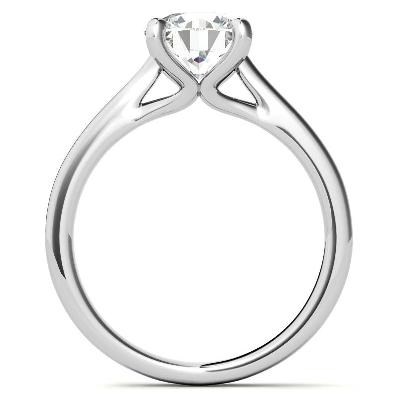 Round Brilliant Moissanite Cathedral Solitaire Ring