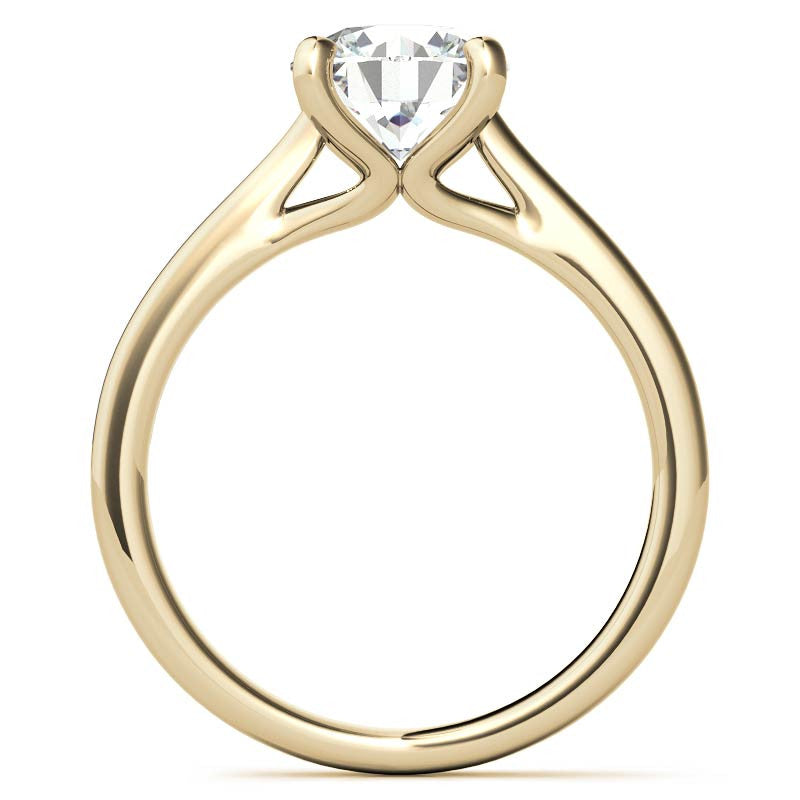 Round Brilliant Moissanite Cathedral Solitaire Ring