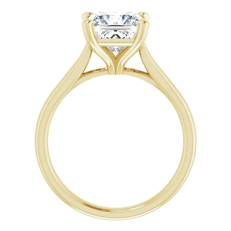 Princess Cut Moissanite Cathedral Solitaire